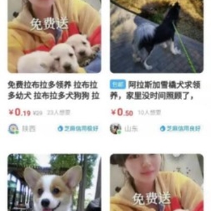 如何通過(guò)閑魚(yú)引流微信成交精準(zhǔn)鎖定寵物粉!