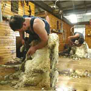 如何找到最新薅羊毛賺錢活動