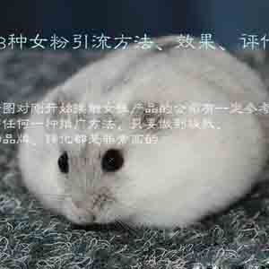 18種女粉引流方法、效果、評(píng)估